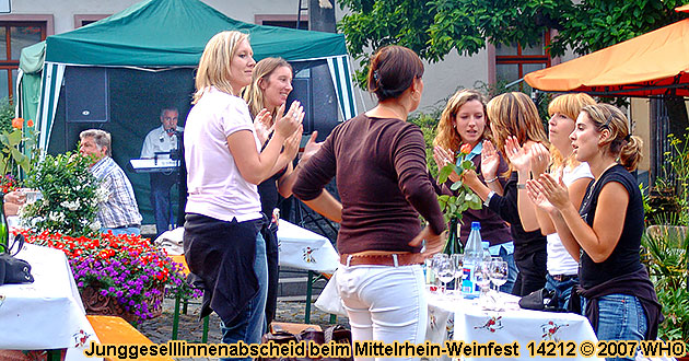 Junggesellinnenabschiede als Bordfest mit Rheinschifffahrt, DJ-Musik, Tanz, Weinfest-Besuch und Feuerwerk.